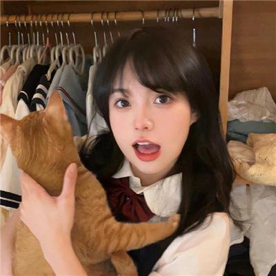 美人记·昭君